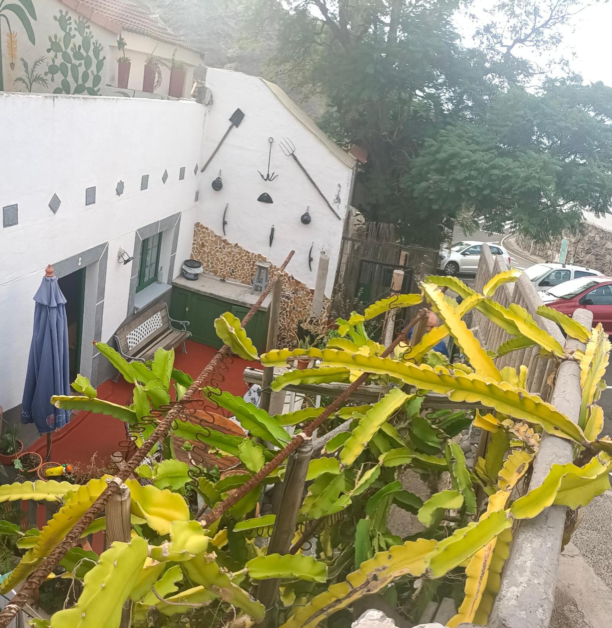 San Pedro  Chalet Juana La Concha Valle De Agaete מראה חיצוני תמונה